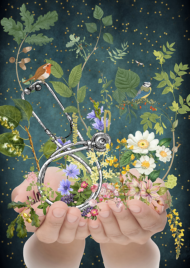 Entretien Fleurs de Bach